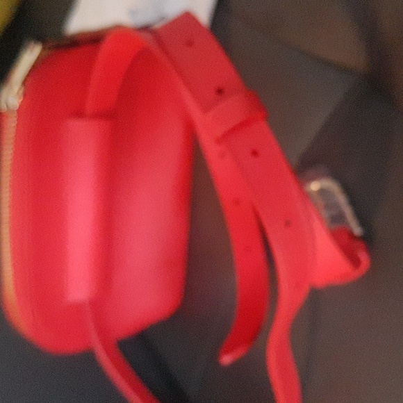 Gorgeous FURLA Belt Bag - Picture 3 of 7